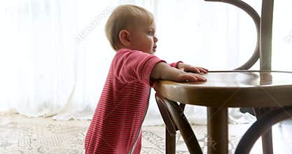 Exploring New Heights A Babys Fascinating Curiosity While Sitting at the Dining Table
