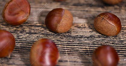 a hard edible chestnut fruit in a brown shell on a