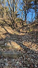 Autumnal Forest Stairs