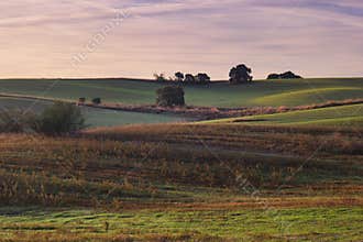 Rolling hills and grassy fields capture the serenity of nature at dusk with a colorful sky and scattered trees