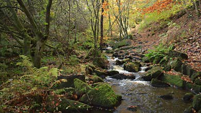 Autumn woodland and cascading water at Wyming Brook in the Derbyshire, Peak District National Park