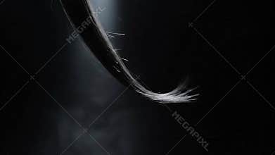 Close-up of a Black Cat Tail Swishing Gracefully Underwater with Bubbles and Light Rays on a Dark Background