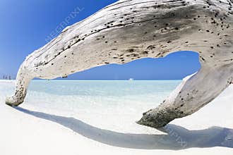 Tropical beach