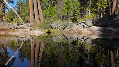 Mirror Reflection Pan on a Tranquil Sierra Nevada Pond in California Forest