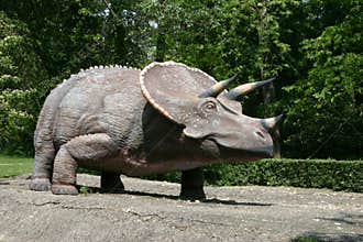 Dinosaurs - Triceratops