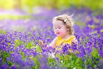 Nice toddler girl in bluebell flowers in spring
