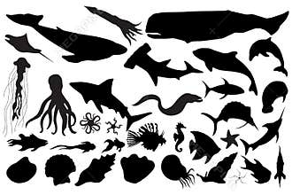Marine life silhouettes