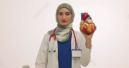 Cardiologist holds model of human heart and ultrasound probe