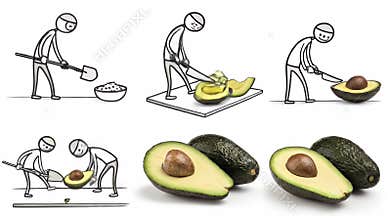 Stick Figure Interacting With Avocados for Health and Cooking Concepts in Isolated White Background