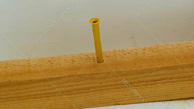 Worker installs plastic wall anchor into wood with hammer