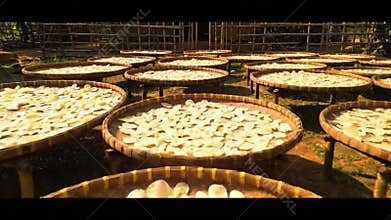 Cassava Drying on Woven Trays with Thatched Roof Structure in Rural Setting Outdoor Shot