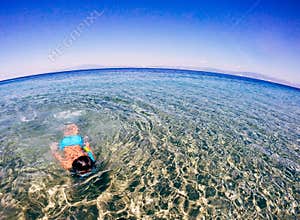 Watching marine life
