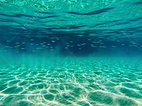 Underwater world