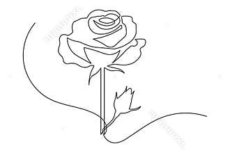 Modern minimalist rose flower icon drawing