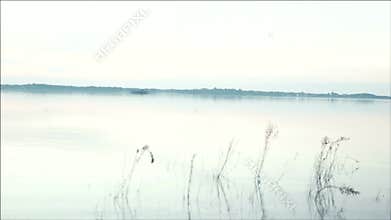 The calm lake in the summer