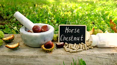 Horse chestnut tincture and supplements. Selective focus.