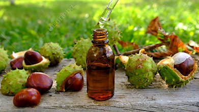 Horse chestnut tincture and supplements. Selective focus.