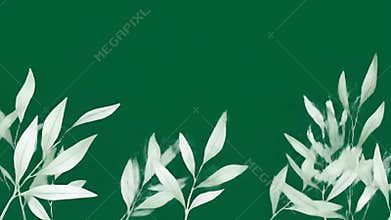 Delicate pale green botanical frame with subtle leaf corners on white background