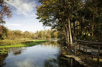 Morning at Wekiva Springs, Florida