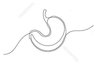 Clean simple stomach icon one line drawing