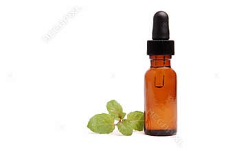 Peppermint Aromatherapy