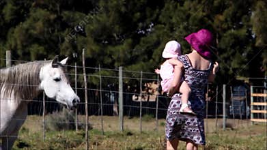 Mother with young child touching a white horse
