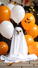 Cat in ghost costume with orange and white balloons for Halloween celebration