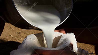 Shepherds milking goats
