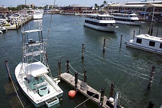 Miami Marina
