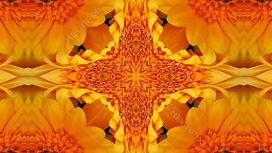 Colorful Flowers Kaleidoscope