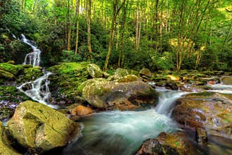 The Great Smoky Mountain National Park Mouse Creek Falls