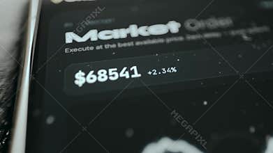Interface for a Market Order showing a current price for an asset