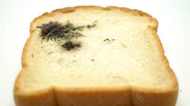 Sliced bread close up,Generative AI