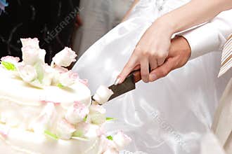 Cutting a wedding cake