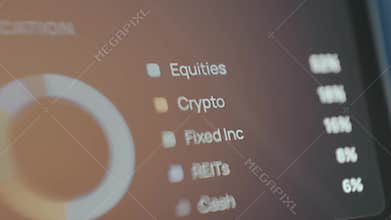 Asset allocation breakdown for a financial portfolio