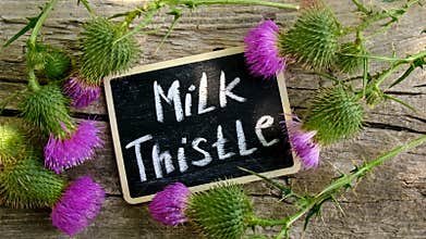 Milk thistle supplements in nature. Selective focus.