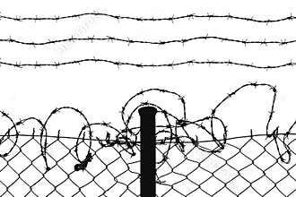 Wired fence