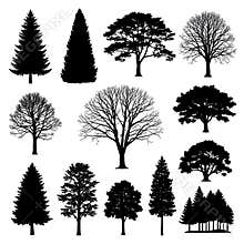 Vector Elegant collection of diverse tree silhouettes showcasing natural beauty and seasonal variety perfect for design projects