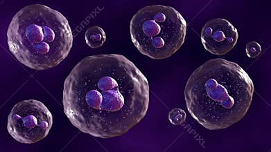 3D animated model of floating a neutrophils in dark blue background