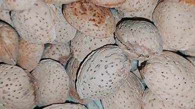 Beautiful decorative woven tray showcasing unshelled almonds with pink and white artistic design