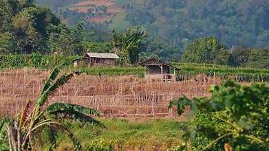 Farmer's huts on a hillside in rural indonesia