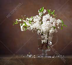 Still life with cherry blossoms in a glass jug