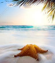 Art beautiful caribbean beach in sunset time