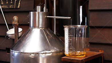 Lavender essential oil distillation