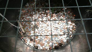 Mice at the bottom of a wishing well