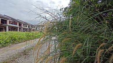 Stagnant pool of rainwater along the diminishing perspective rural pathway into the rural countryside