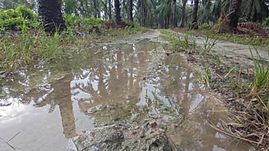 stagnant pool of rainwater along the diminishing perspective rural pathway into the rural countryside