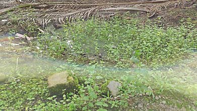 stagnant pool of rainwater along the diminishing perspective rural pathway into the rural countryside