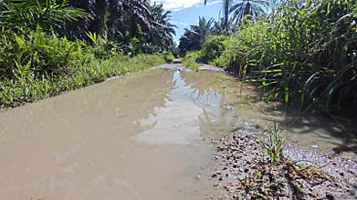 stagnant pool of rainwater along the diminishing perspective rural pathway into the rural countryside