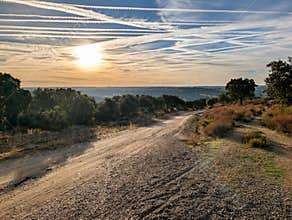 Sunset over a winding dirt road in the countryside with jet trails in the sky and trees lining the horizon